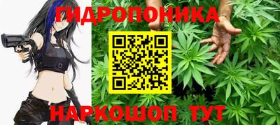 ECSTASY Кунгур